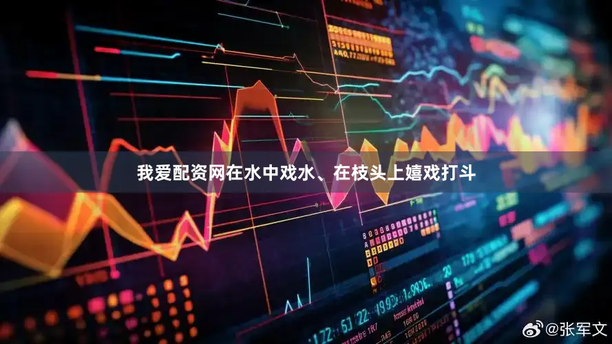 我爱配资网在水中戏水、在枝头上嬉戏打斗