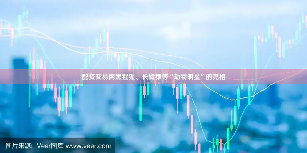 配资交易网黑猩猩、长臂猿等“动物明星”的亮相