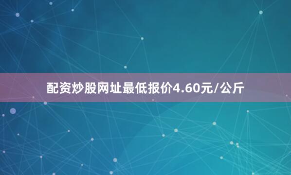 配资炒股网址最低报价4.60元/公斤