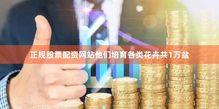 正规股票配资网站他们培育各类花卉共1万盆